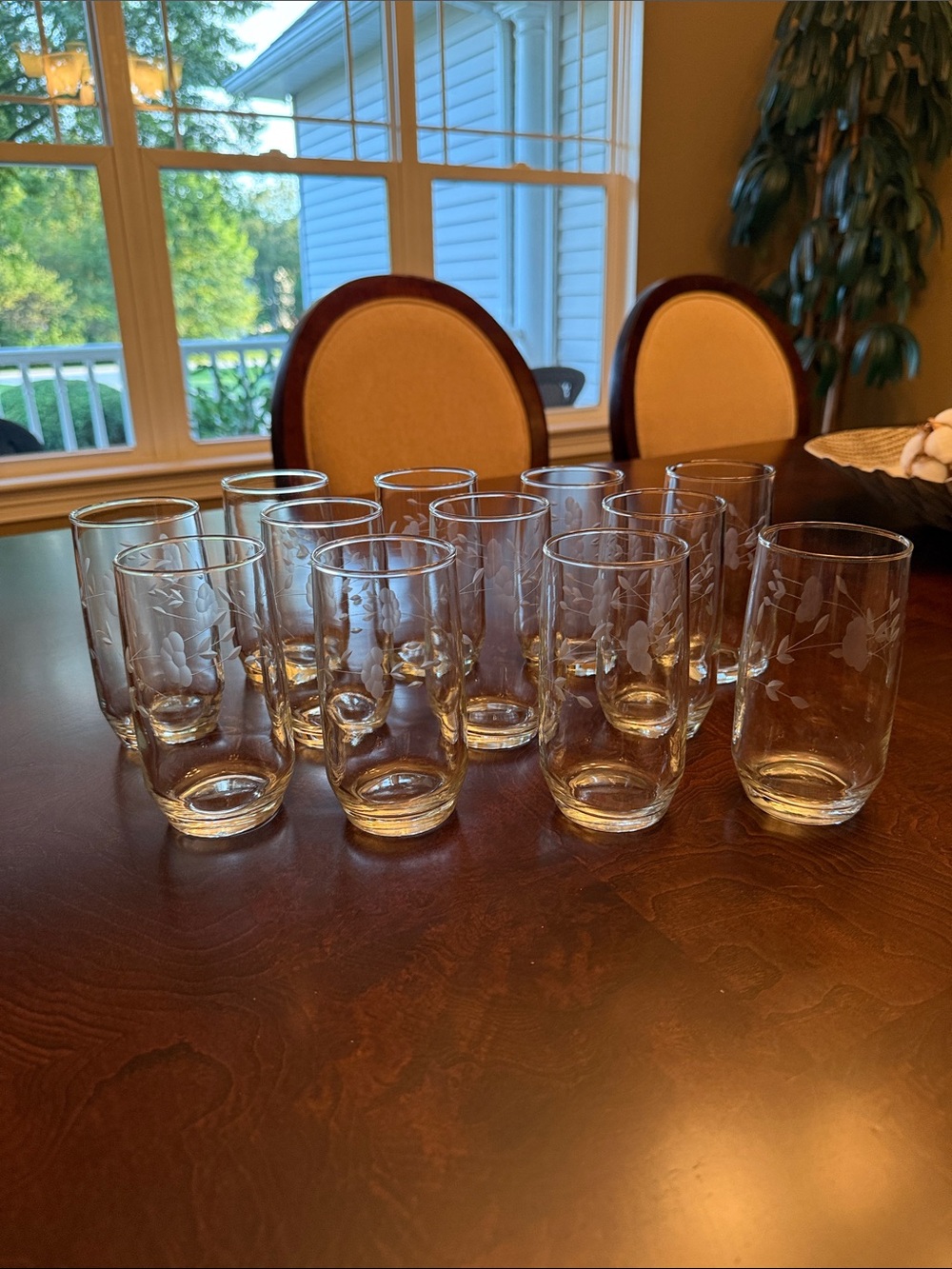 Princess House Clear Etched Glasses - Clear